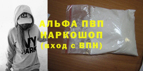 прущие грибы Верея