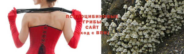 соль ск Верхний Тагил