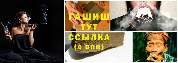 прущие грибы Верея