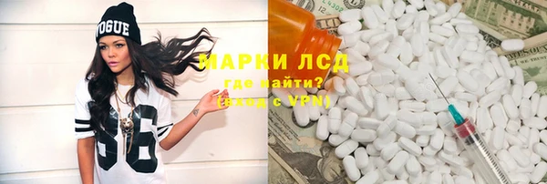 прущие грибы Верея