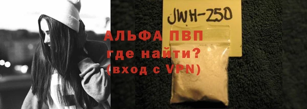 прущие грибы Верея