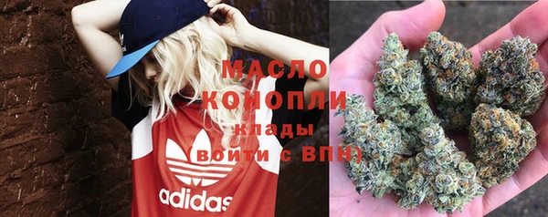 прущие грибы Верея
