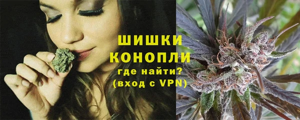 соль ск Верхний Тагил