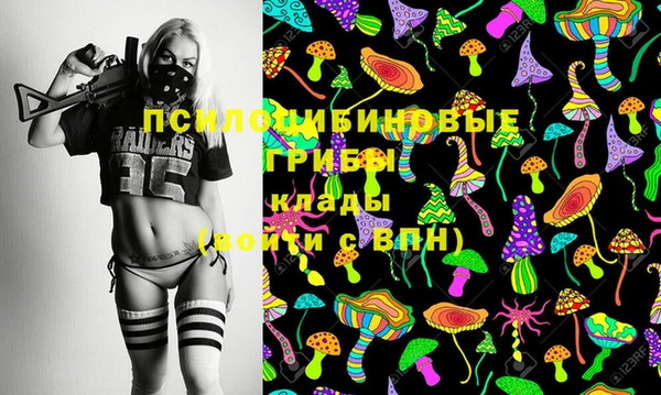прущие грибы Верея