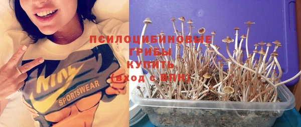 соль ск Верхний Тагил