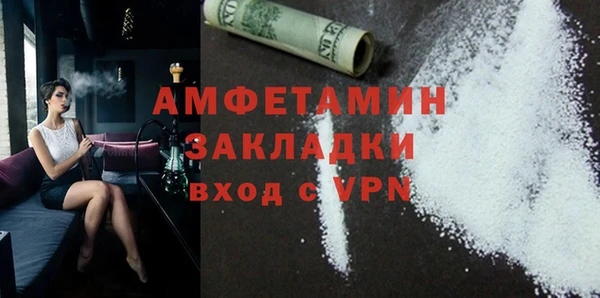 прущие грибы Верея