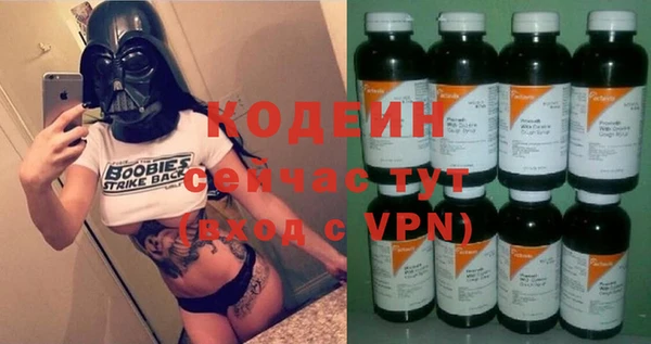 прущие грибы Верея
