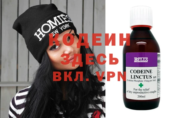 прущие грибы Верея
