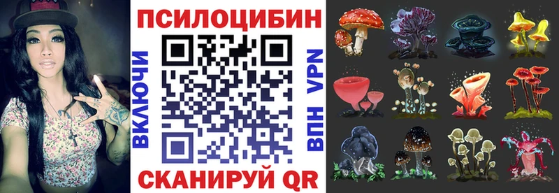 купить наркотики цена Новоульяновск Галлюциногенные грибы мицелий